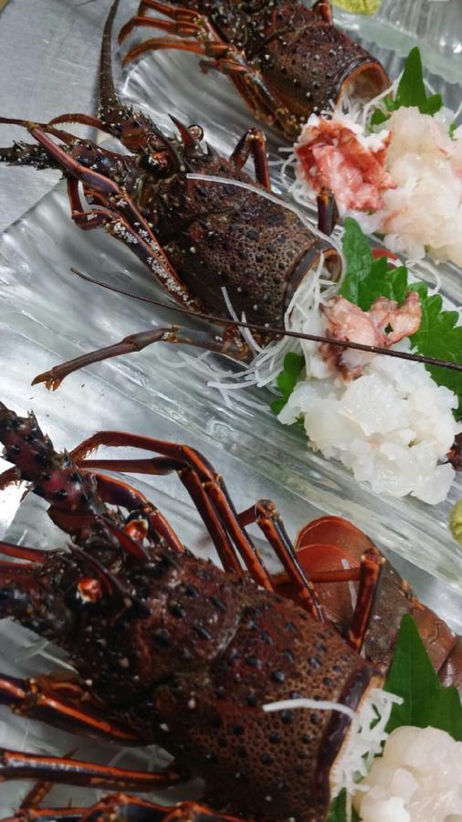 Ryokan Odoso ميازاكي المظهر الخارجي الصورة