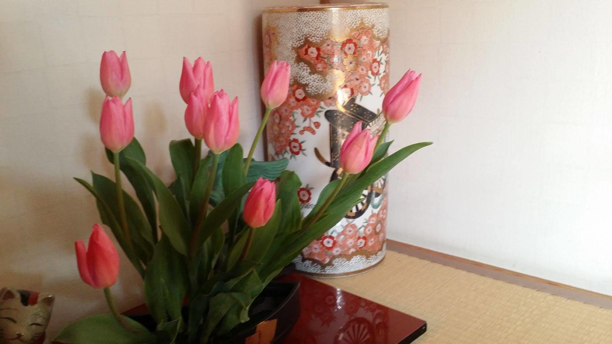 Ryokan Odoso ميازاكي المظهر الخارجي الصورة